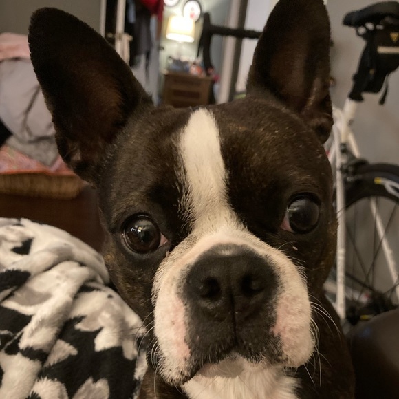 Meet your Posher, Cristina - Picture 1 of 1